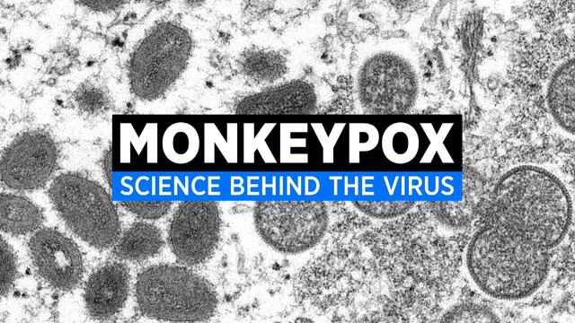 monkeypox-graphic-2.jpg 