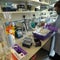 Scientists race to digitize DNA of every known species on the planet