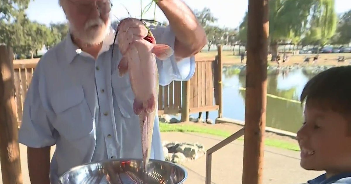 Stockton's annual Catfish Derby brings out competitors CBS Sacramento