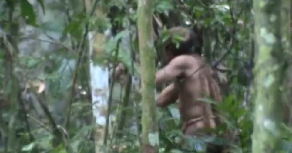 Last member of Indigenous Brazilian tribe dies after avoiding contact for  decades - CBS News