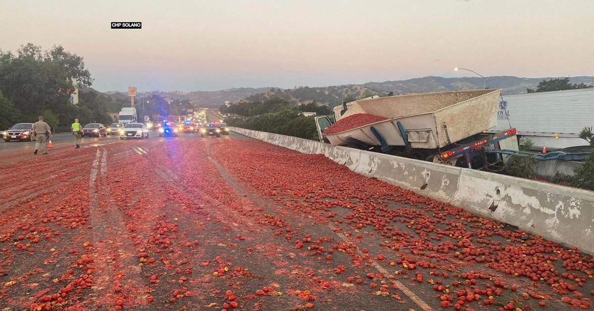 Load Of Tomatoes Spill All Over I-80 In Vacaville In Big Rig Crash ...