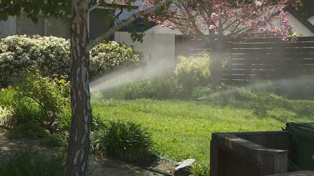 sprinkler water drought 