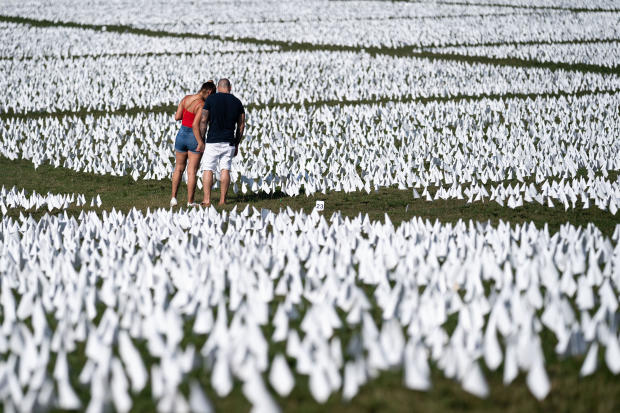 650,000 White Flags Planted On National Mall To Honor American Covid Deaths 