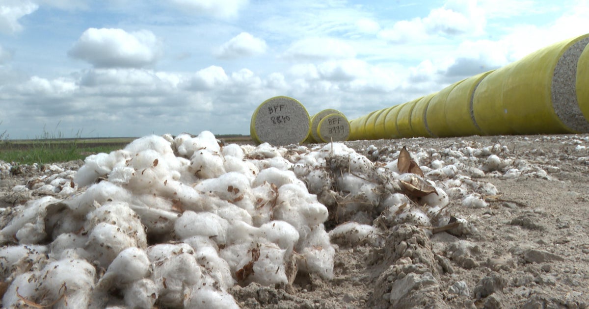 Rain provides relief for North Texas farmers, but is too late for some crops - Vimarsana News