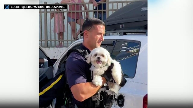 A police officer carries a small, white, fluffy dog away from a vehicle. 