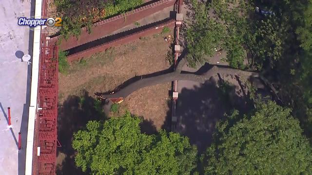 An aerial shot of a large tree lay across a yard and sidewalk. 