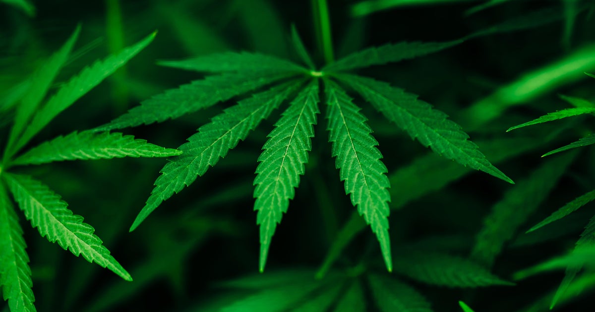 Albany dispensary is first in state to start delivering recreational