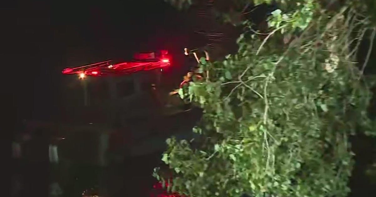 Coast Guard responds to a possible car in the Sacramento River