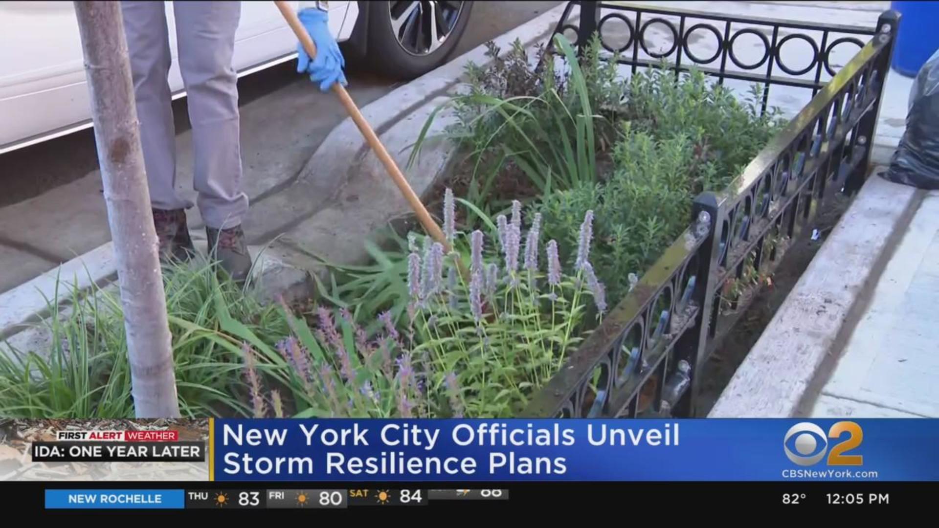 The Do-It-Yourself Rain Garden - The New York Times