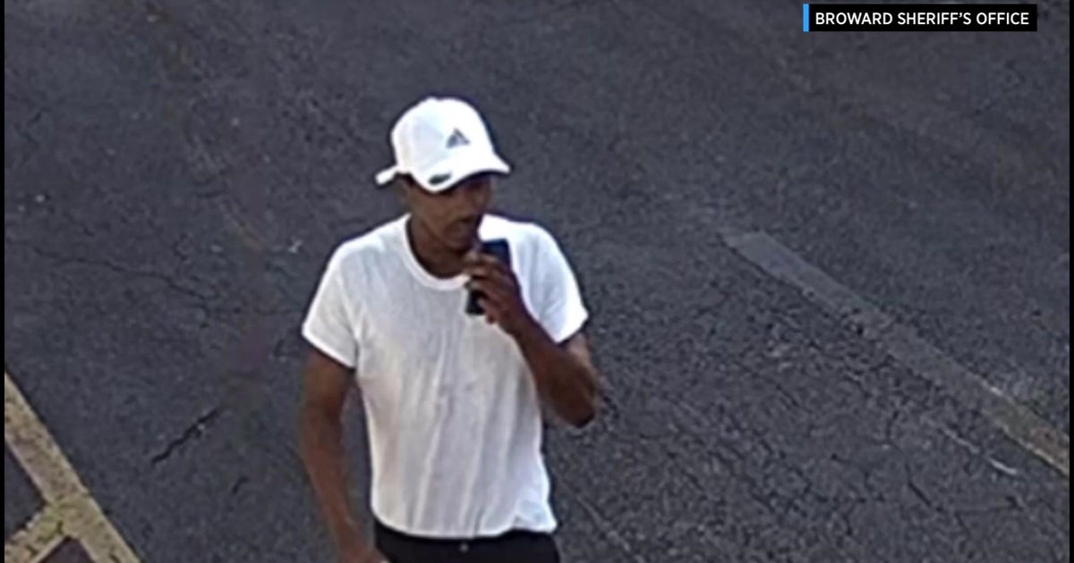 Arrest made in brazen powerful-arm robbery at Broward Meat & Fish sector