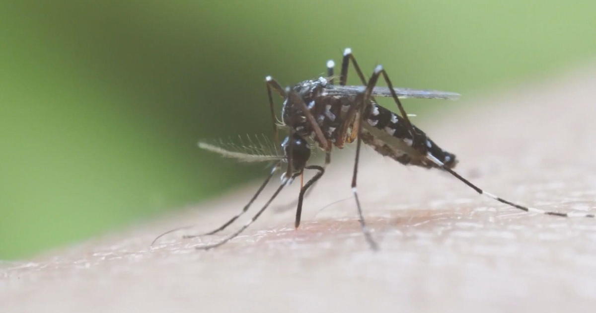 4 malaria instances prompt statewide well being advisory