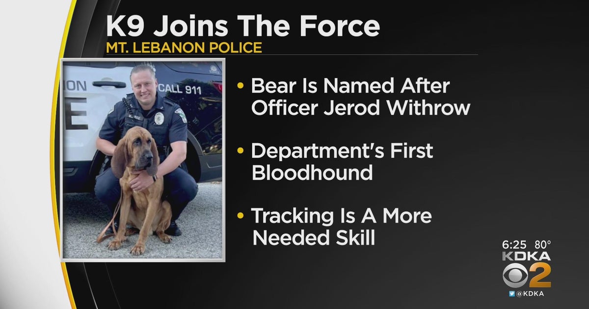 Mt. Lebanon Police welcome new K9 officer to the department - CBS ...