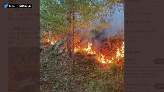 A wildfire burns in a wooded area. 