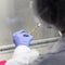 Mystery pneumonia kills 2 health care workers, patient at clinic in Argentina