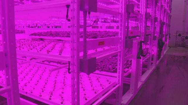 vertical-farming-da-raw-01-concatenated-121805-frame-30195.jpg 