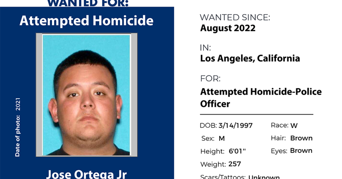 U.S. Marshals Offer $5K Reward To Find Man Who Allegedly Shot At ...