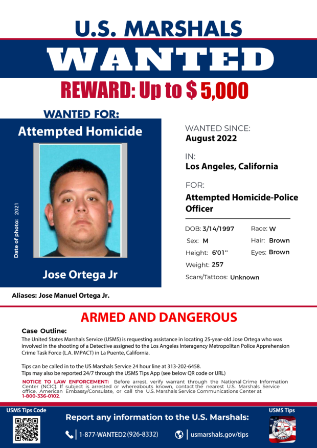 ortega-wanted-poster.png 