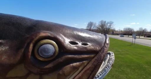 Good Question How are official state symbols chosen? CBS Minnesota