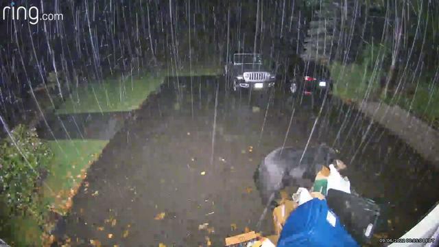 A black bear grabs a bag from a pile of trash in the driveway of a home. 