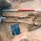 Female vampire skeleton unearthed in Poland: Pure astonishment