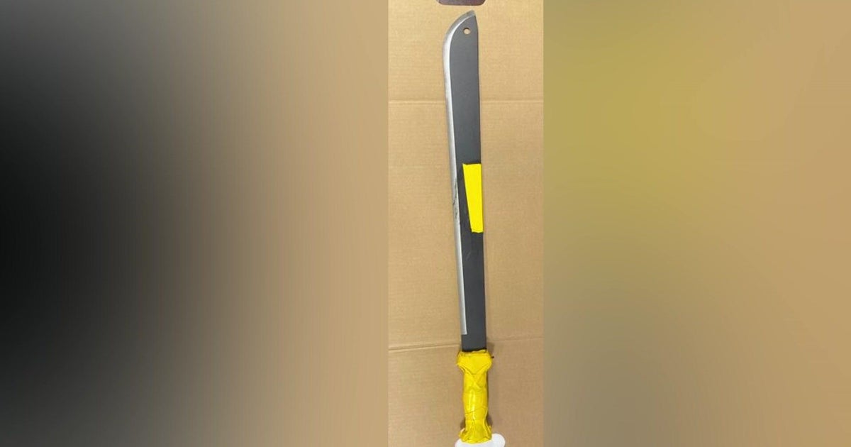 Police 82yearold slashed with machete, peppersprayed in unprovoked