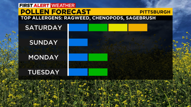 pollen-forecast.png 