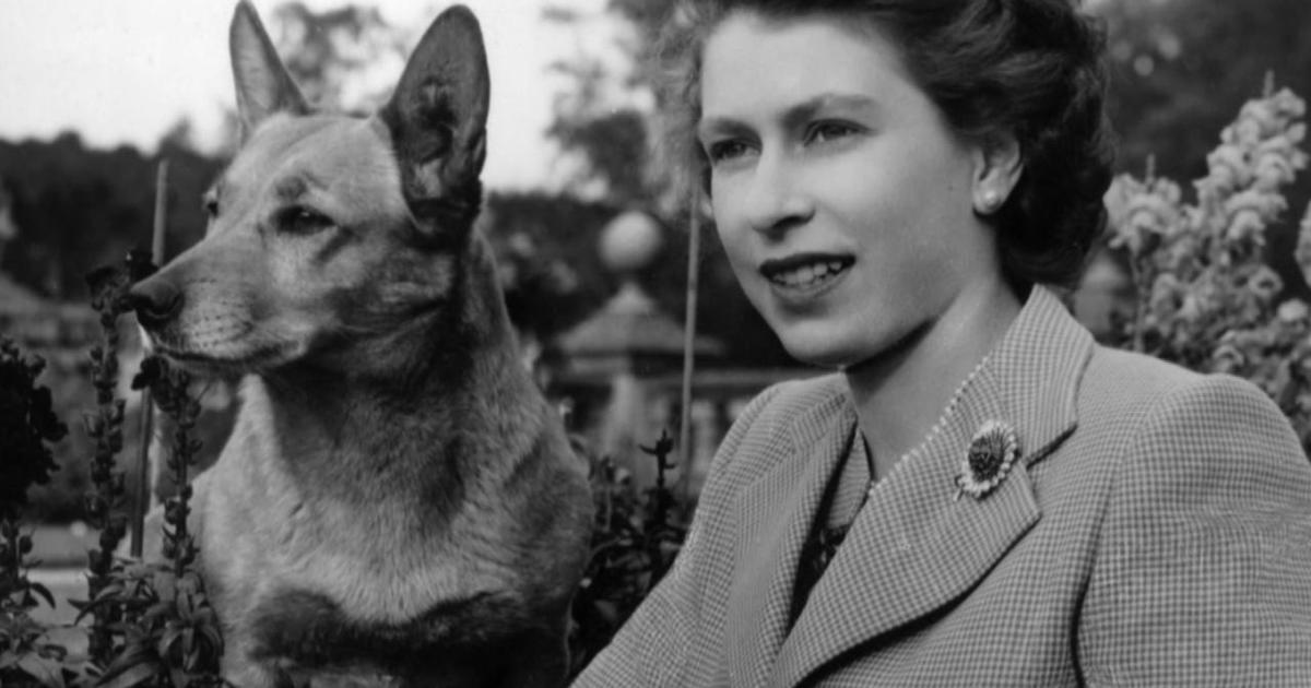 The Queen's animal companions