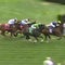 Horse bred by Queen Elizabeth II wins U.S. race