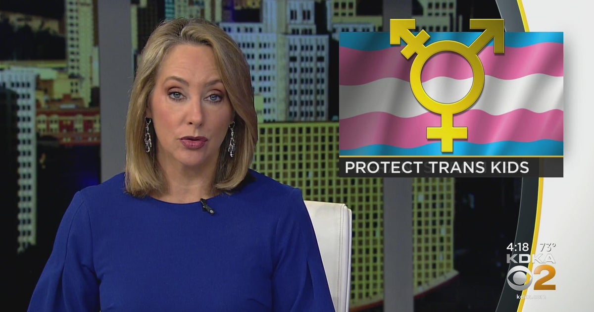 Pittsburgh City Council proclaims Monday as Protect Trans Kids Day ...