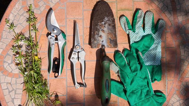 garden-tools-and-gloves.jpg 