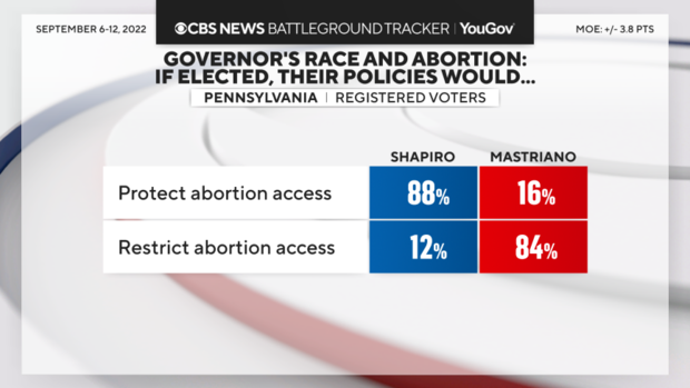 gov-race-abortion.png 