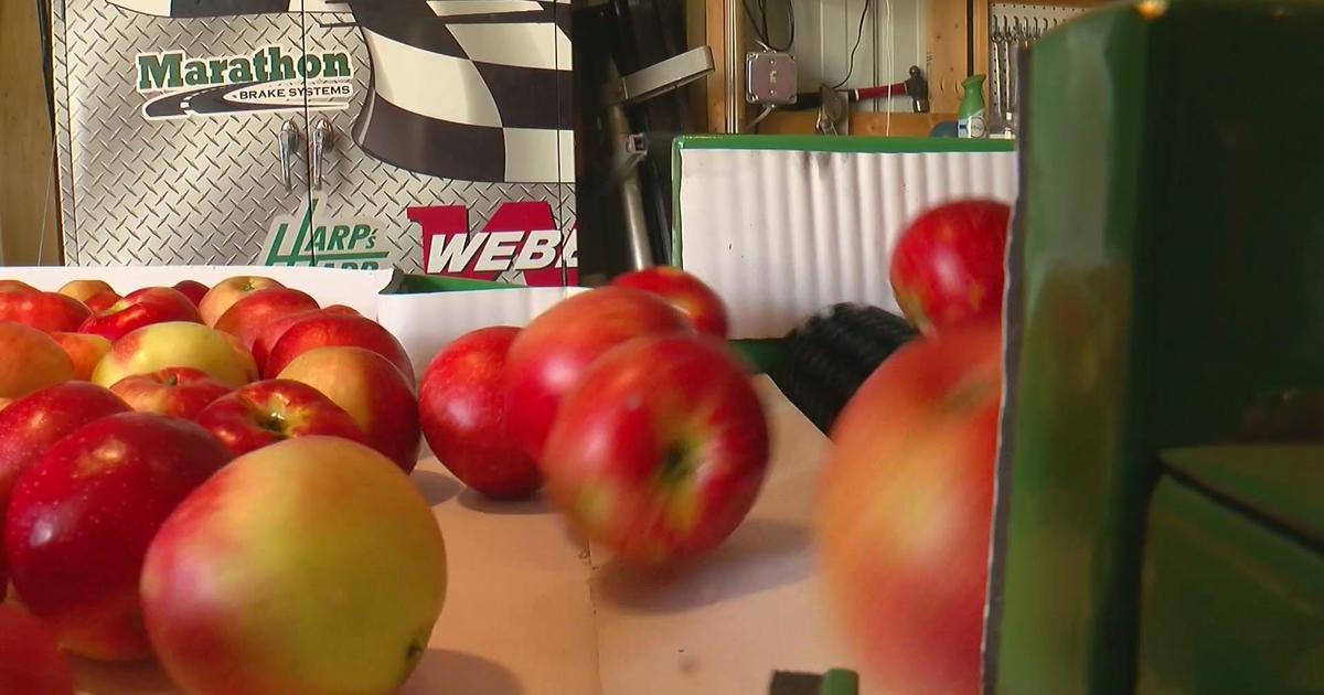 Apples- Mcintosh — Sun Orchard Apples