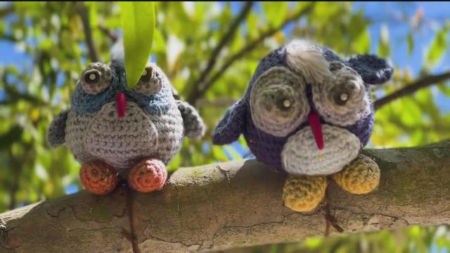 SF crochet owls 