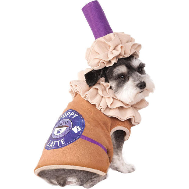 puppy-latte-costume.jpg 