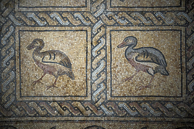 Gaza Ancient Mosaic 
