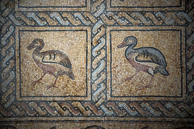 A detail of parts of a Byzantine-era mosaic floor that was uncovered recently by a Palestinian farmer in Bureij in central Gaza Strip