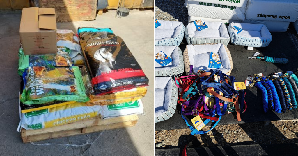 Woman accused of posing as charity that cares for animals displaced by Mosquito Fire