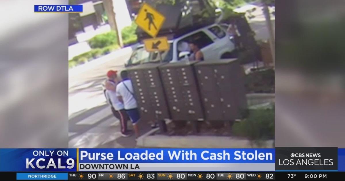 Only On Small Business Owner Desperately Searching For Men Who Stole Purse Filled With 10k