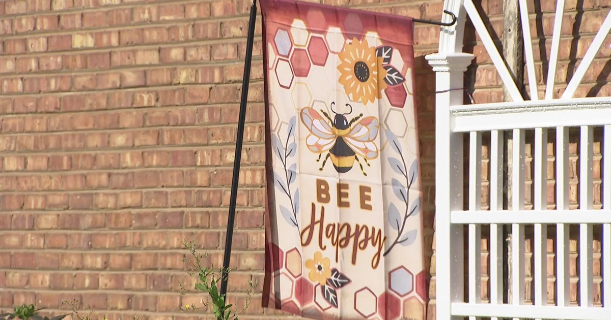 Wild Blossom Meadery and Winery, a hidden gem in Beverly, offers