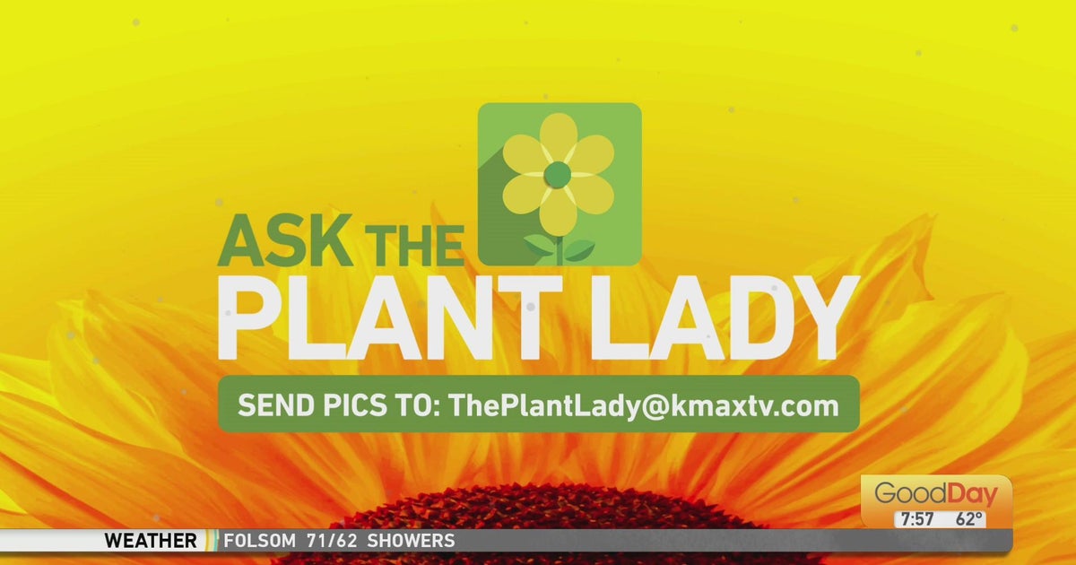 The Plant Lady, 7am 9/18 Good Day Sacramento
