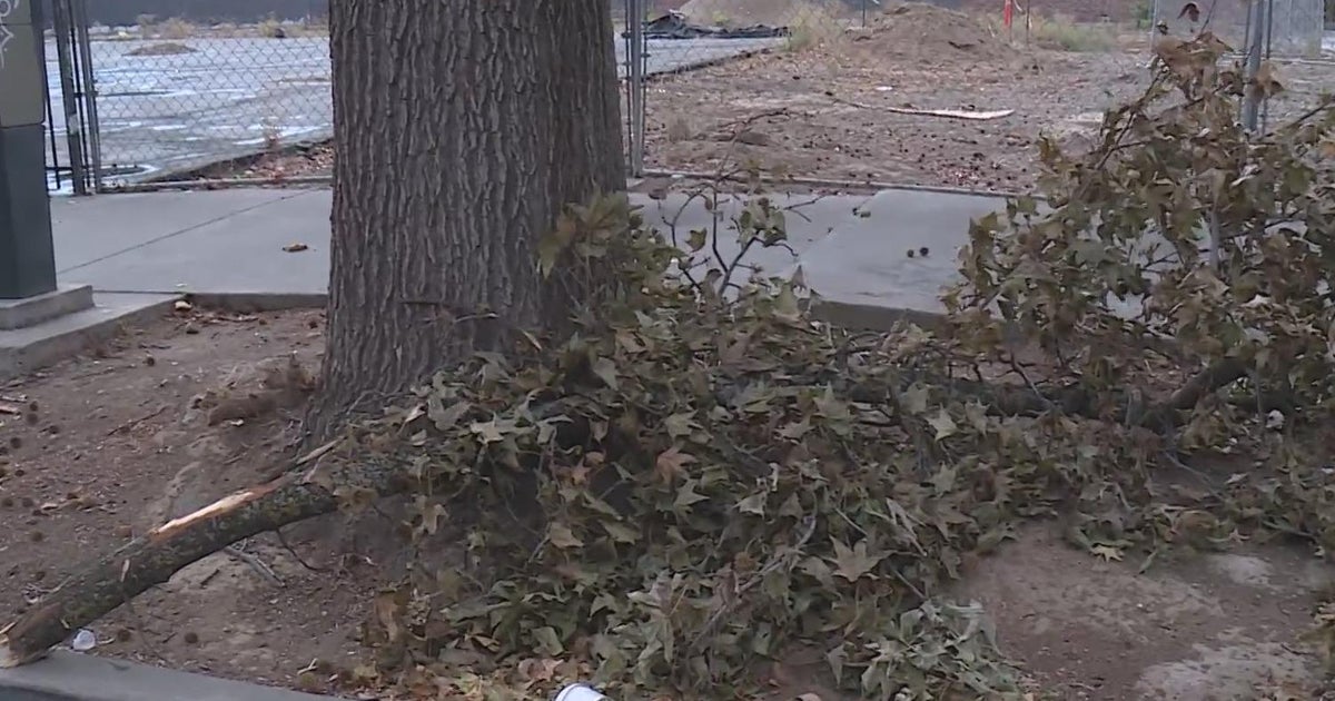 Wet weather hits Sacramento for the first time in a while