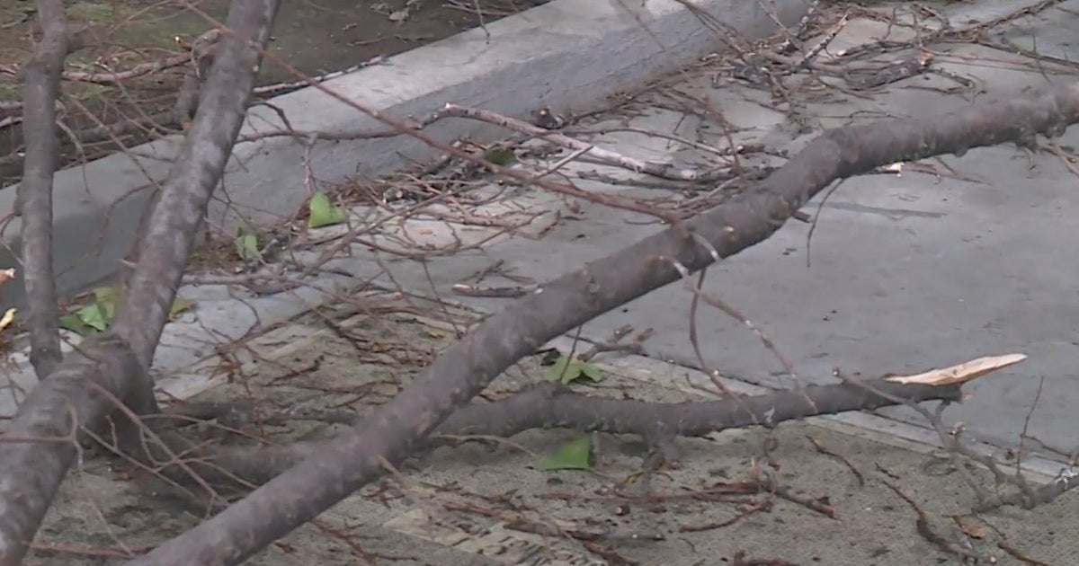 Rain continued to pour down in Davis and downtown Sacramento