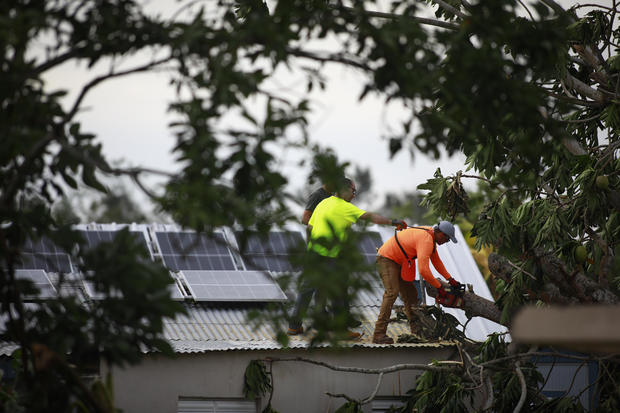 Workers remove downed trees in Cabo Rojo, Puerto Rico on Sept. 20, 2022. The island had widespread power outages after Hurricane Fiona hit it hard