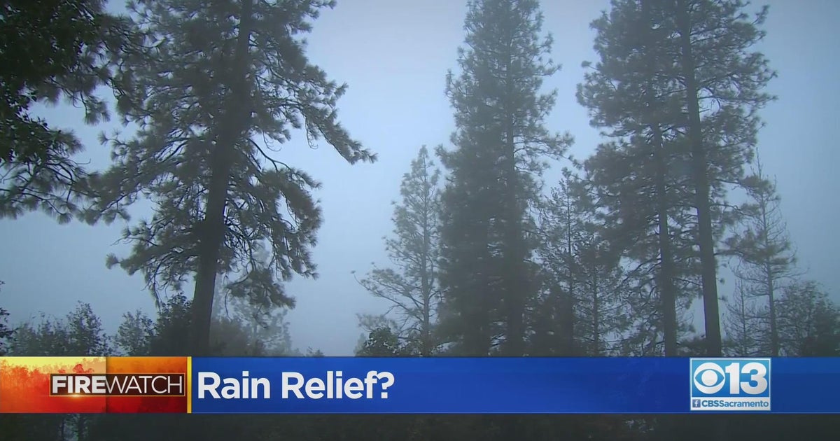 Despite its impact on Mosquito Fire, recent rain won't help state's long-term fire situation, say experts - Vimarsana News