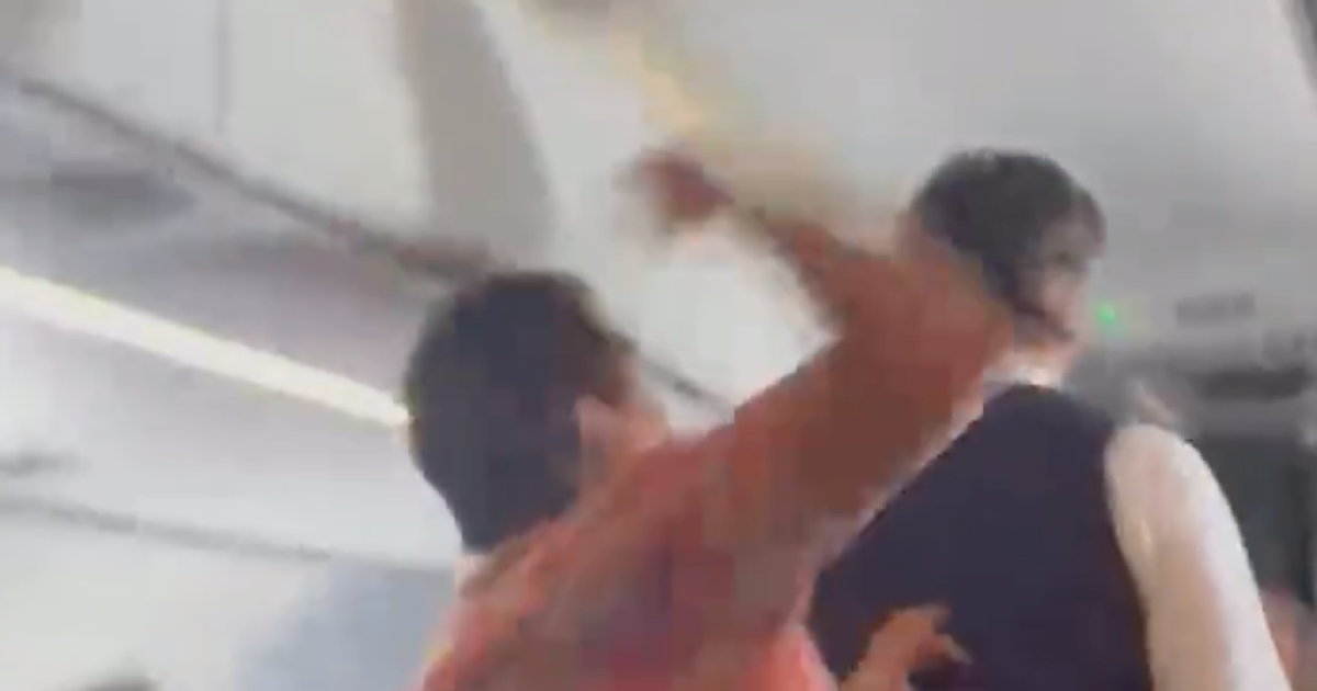 Passenger caught on video punching flight attendant during Mexico-to-LA flight