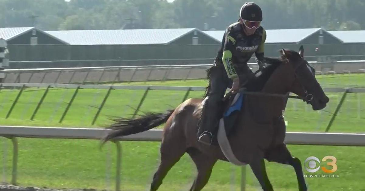 Latinos In Pennsylvania Are Helping Shape The Sport Of Thoroughbred ...