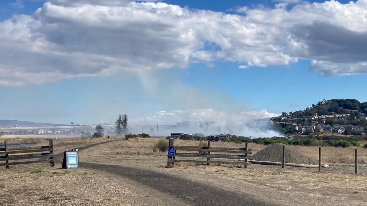 Petaluma Firefighters Quickly Control Vegetation Fire At Steamer   Petaluma Steamer Landing Park Fire 092122 