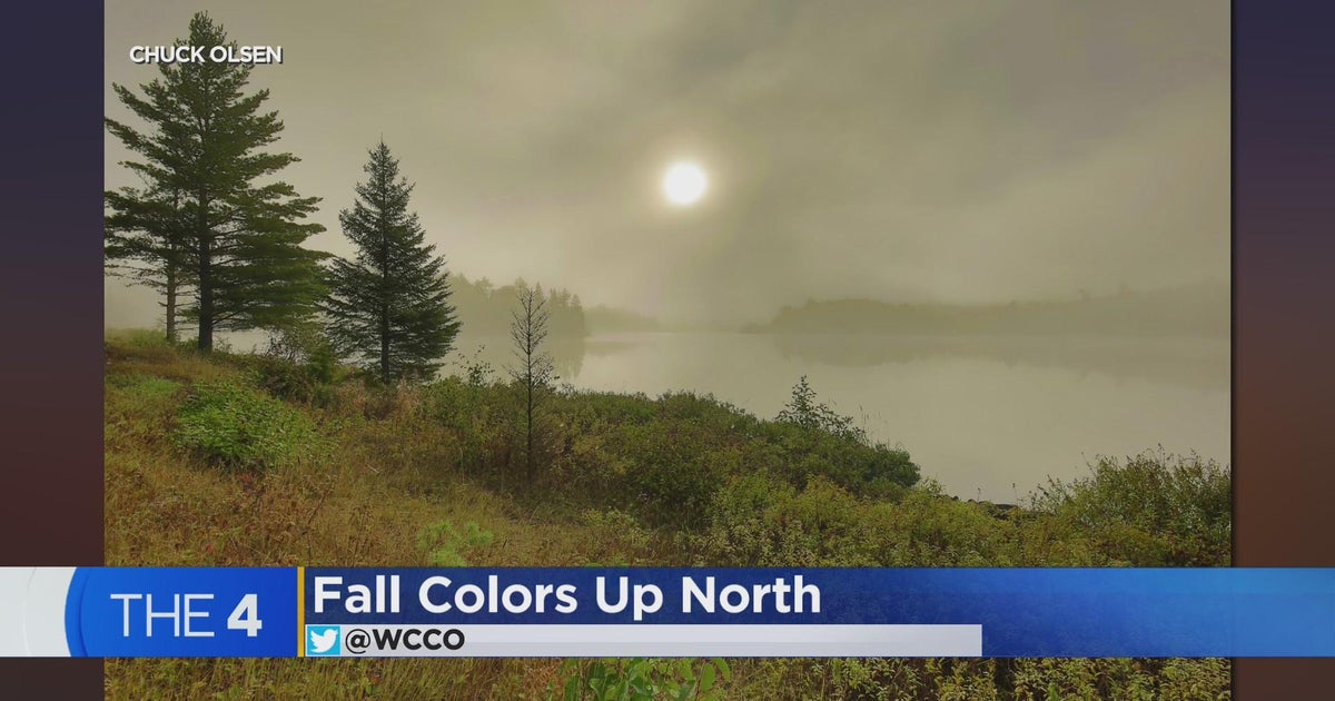 Nature photographer talks capturing Minnesota’s fall colors - CBS Minnesota