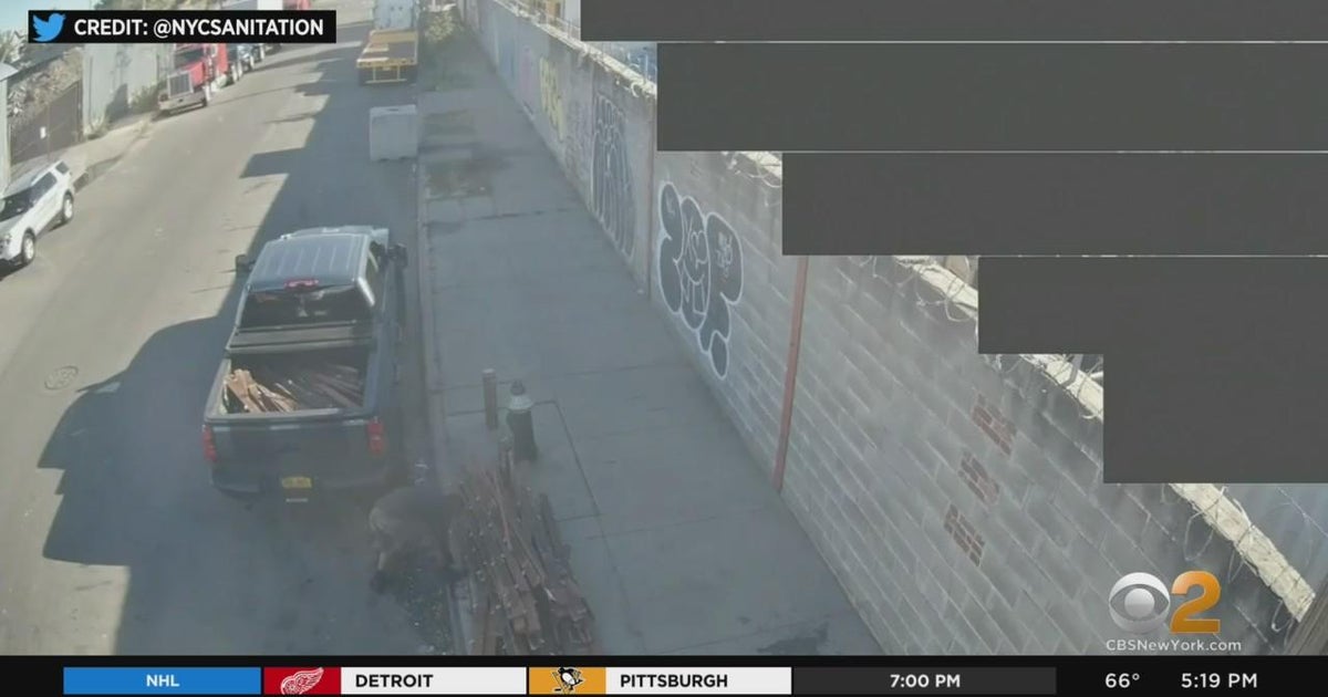 4,000 fine, truck impounded after alleged illegal dumping CBS New York