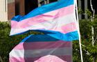 Trans pride flags flutter in the wind 